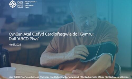 Cynllun Atal Clefyd Cardiofasgwlaidd i Gymru